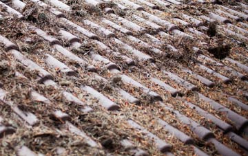 Southcombe roof cleaning companies