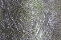 Southcombe fibreglass roof work